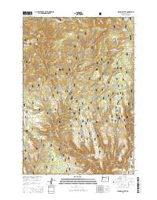Madison Butte Oregon Current topographic map, 1:24000 scale, 7.5 X 7.5 Minute, Year 2014