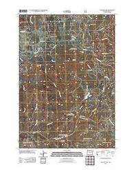 Magone Lake Oregon Historical topographic map, 1:24000 scale, 7.5 X 7.5 Minute, Year 2011