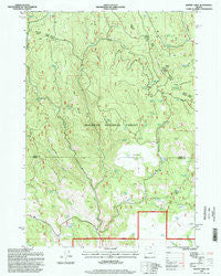 Magpie Table Oregon Historical topographic map, 1:24000 scale, 7.5 X 7.5 Minute, Year 1996
