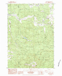 Marys Peak Oregon Historical topographic map, 1:24000 scale, 7.5 X 7.5 Minute, Year 1984