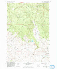 Medical Springs Oregon Historical topographic map, 1:24000 scale, 7.5 X 7.5 Minute, Year 1993