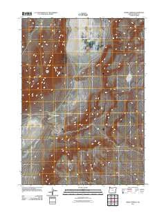 Mickey Springs Oregon Historical topographic map, 1:24000 scale, 7.5 X 7.5 Minute, Year 2011