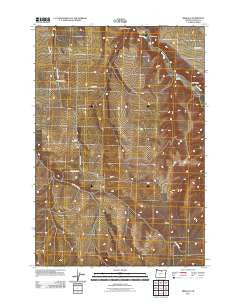 Mikkalo Oregon Historical topographic map, 1:24000 scale, 7.5 X 7.5 Minute, Year 2011