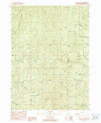 Mount Peavine Oregon Historical topographic map, 1:24000 scale, 7.5 X 7.5 Minute, Year 1989