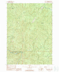 Mount Reuben Oregon Historical topographic map, 1:24000 scale, 7.5 X 7.5 Minute, Year 1989