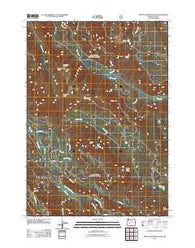Mount David Douglas Oregon Historical topographic map, 1:24000 scale, 7.5 X 7.5 Minute, Year 2011