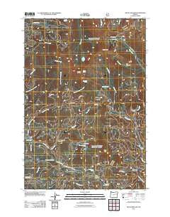 Mount Ireland Oregon Historical topographic map, 1:24000 scale, 7.5 X 7.5 Minute, Year 2011