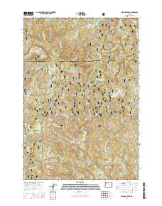 Niagara Creek Oregon Current topographic map, 1:24000 scale, 7.5 X 7.5 Minute, Year 2014