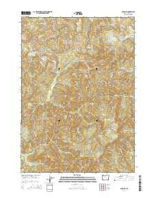 Old Blue Oregon Current topographic map, 1:24000 scale, 7.5 X 7.5 Minute, Year 2014