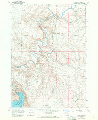 Owyhee Dam Oregon Historical topographic map, 1:24000 scale, 7.5 X 7.5 Minute, Year 1967