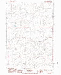 Peacock Lake Oregon Historical topographic map, 1:24000 scale, 7.5 X 7.5 Minute, Year 1982