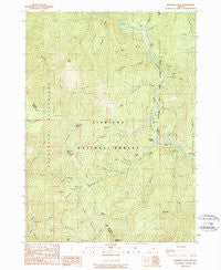 Pearsoll Peak Oregon Historical topographic map, 1:24000 scale, 7.5 X 7.5 Minute, Year 1989