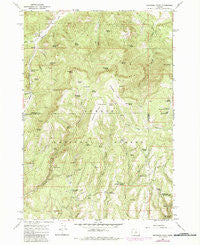 Peterson Point Oregon Historical topographic map, 1:24000 scale, 7.5 X 7.5 Minute, Year 1966