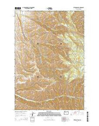 Peterson Ridge Oregon Current topographic map, 1:24000 scale, 7.5 X 7.5 Minute, Year 2014