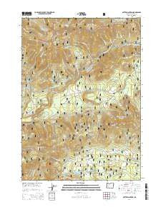 Potter Mountain Oregon Current topographic map, 1:24000 scale, 7.5 X 7.5 Minute, Year 2014