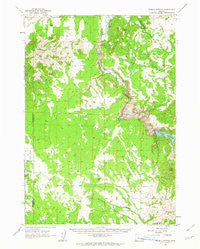 Powell Buttes Oregon Historical topographic map, 1:62500 scale, 15 X 15 Minute, Year 1962