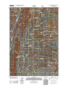 Prairie Farm Spring Oregon Historical topographic map, 1:24000 scale, 7.5 X 7.5 Minute, Year 2011