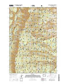 Prairie Farm Spring Oregon Current topographic map, 1:24000 scale, 7.5 X 7.5 Minute, Year 2014