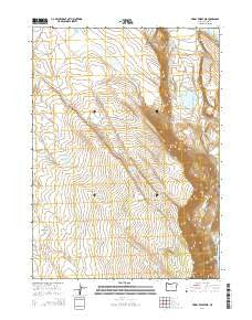 Priday Reservoir Oregon Current topographic map, 1:24000 scale, 7.5 X 7.5 Minute, Year 2014