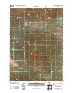 Pumice Desert East Oregon Historical topographic map, 1:24000 scale, 7.5 X 7.5 Minute, Year 2011