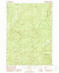 Quail Prairie Mtn Oregon Historical topographic map, 1:24000 scale, 7.5 X 7.5 Minute, Year 1989
