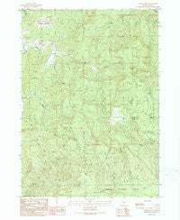 Rasler Creek Oregon Historical topographic map, 1:24000 scale, 7.5 X 7.5 Minute, Year 1990