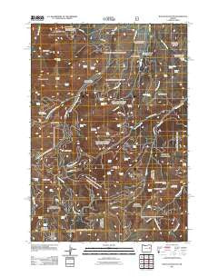 Rastus Mountain Oregon Historical topographic map, 1:24000 scale, 7.5 X 7.5 Minute, Year 2011