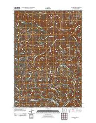 Rogers Peak Oregon Historical topographic map, 1:24000 scale, 7.5 X 7.5 Minute, Year 2011