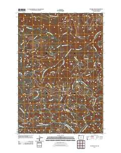 Rogers Peak Oregon Historical topographic map, 1:24000 scale, 7.5 X 7.5 Minute, Year 2011