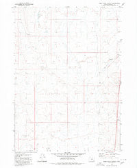 Rome State Airport Oregon Historical topographic map, 1:24000 scale, 7.5 X 7.5 Minute, Year 1980