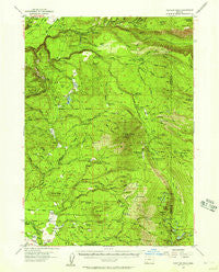 Rustler Peak Oregon Historical topographic map, 1:62500 scale, 15 X 15 Minute, Year 1955