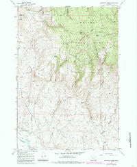 Sawtooth Ridge Oregon Historical topographic map, 1:24000 scale, 7.5 X 7.5 Minute, Year 1967