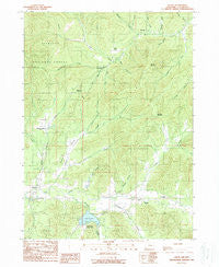 Selma Oregon Historical topographic map, 1:24000 scale, 7.5 X 7.5 Minute, Year 1989