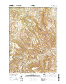 Service Creek Oregon Current topographic map, 1:24000 scale, 7.5 X 7.5 Minute, Year 2014