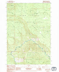 Shitike Butte Oregon Historical topographic map, 1:24000 scale, 7.5 X 7.5 Minute, Year 1988