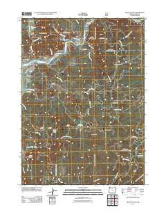 Signal Buttes Oregon Historical topographic map, 1:24000 scale, 7.5 X 7.5 Minute, Year 2011