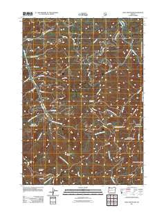 Silica Mountain Oregon Historical topographic map, 1:24000 scale, 7.5 X 7.5 Minute, Year 2011