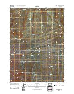 Skull Spring Oregon Historical topographic map, 1:24000 scale, 7.5 X 7.5 Minute, Year 2011