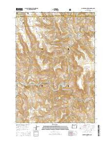 Slickear Mountain Oregon Current topographic map, 1:24000 scale, 7.5 X 7.5 Minute, Year 2014