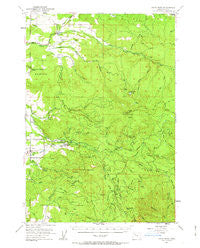 Snow Peak Oregon Historical topographic map, 1:62500 scale, 15 X 15 Minute, Year 1951