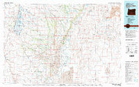 Steens Mtn Oregon Historical topographic map, 1:100000 scale, 30 X 60 Minute, Year 1982