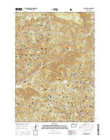 Steins Pillar Oregon Current topographic map, 1:24000 scale, 7.5 X 7.5 Minute, Year 2014