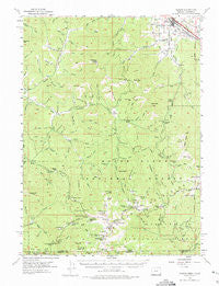 Talent Oregon Historical topographic map, 1:62500 scale, 15 X 15 Minute, Year 1954