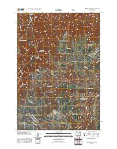 Tamarack Gulch Oregon Historical topographic map, 1:24000 scale, 7.5 X 7.5 Minute, Year 2011