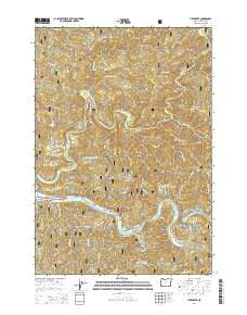 Tidewater Oregon Current topographic map, 1:24000 scale, 7.5 X 7.5 Minute, Year 2014
