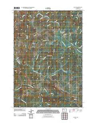 Valsetz Oregon Historical topographic map, 1:24000 scale, 7.5 X 7.5 Minute, Year 2011