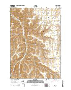 Vinson Oregon Current topographic map, 1:24000 scale, 7.5 X 7.5 Minute, Year 2014