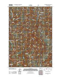 Wanderers Peak Oregon Historical topographic map, 1:24000 scale, 7.5 X 7.5 Minute, Year 2011