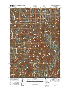 Wanderers Peak Oregon Historical topographic map, 1:24000 scale, 7.5 X 7.5 Minute, Year 2011