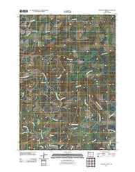 Warnicke Creek Oregon Historical topographic map, 1:24000 scale, 7.5 X 7.5 Minute, Year 2011